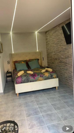 BELLE APPARTEMENT STUDIEUX CENTRE VILLE